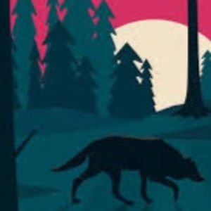 Meet your Posher, Ana